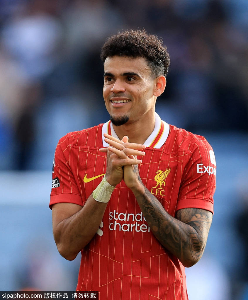 在这篇文章 在这篇文章